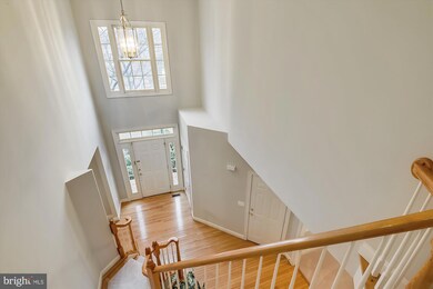 2224 Great Falls St, Falls Church, VA 22046 - photo 4