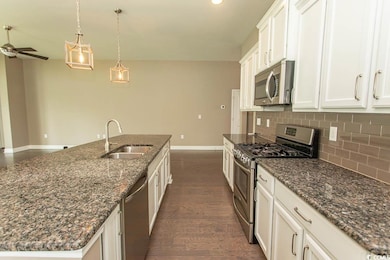 Kitchen with stainless steel appliances, decorative backsplash, white cabinets, dark wood-style flooring, and recessed lighting