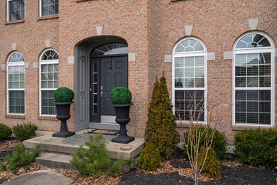Springcrest-4