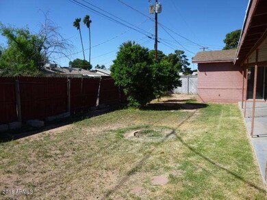 BACKYARD (1)