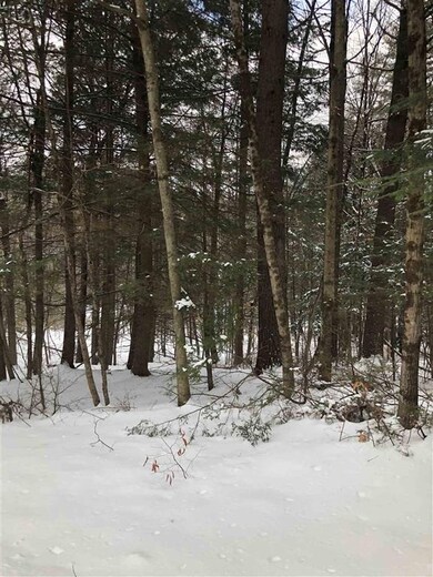 0 Sugarhill Ln unit 3115, Hartford, VT 05001 - photo 3