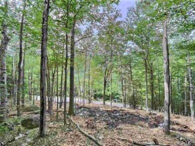 0 Chalk Pond Rd unit 1 4944686, Newbury, NH 03255 - photo 5