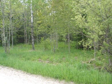 P6050008
