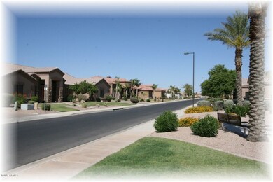 Neighborhood Street
