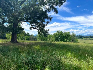 TBD Curry Rd, Mount Solon, VA 22843 - photo 2