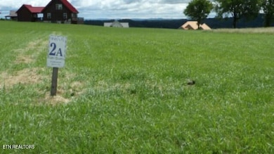 Lot 2A Swan Ridge Rd, Hilham, TN 38568 - photo 3