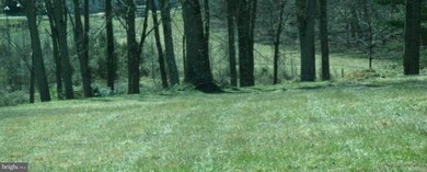 1102 Sturbridge Rd, Fallston, MD 21047 - photo 3