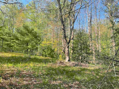 Field view