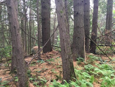 1750 E Hill Rd, Plainfield, VT 05667 - photo 2