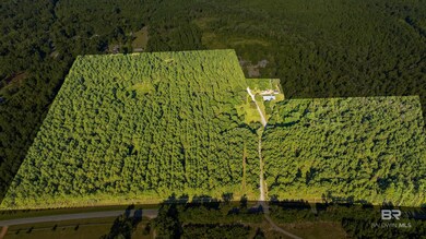 9350 Tompkins Rd, Stockton, AL 36579 - photo 3