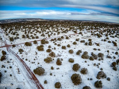 DJI_0986