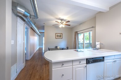 217 Des Plaines Ave unit 1, Forest Park, IL 60130 - photo 7