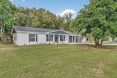 201 S Mare Ave, Howey In the Hills, FL 34737 - photo 2