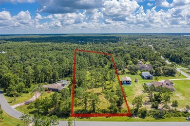 0 Bronco Dr unit S5053958, Saint Cloud, FL 34771 - photo 6