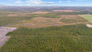 Drone / aerial view featuring a rural view