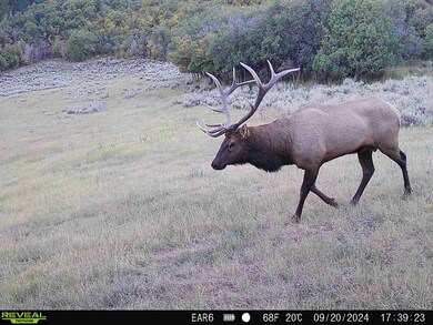 0 Tbd Highway 13 unit 25806397, Rifle, CO 81650 - photo 5