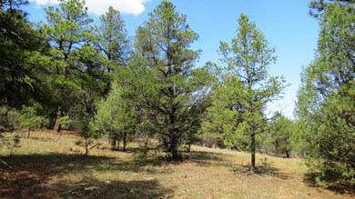 IMG_5449-1024x576