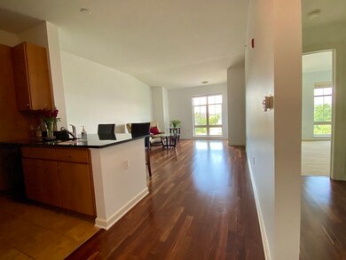 4 Repton Cir unit 4412, Watertown, MA 02472 - photo 3