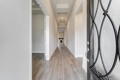 19102 Flaxen Haflinger Trail, Tomball, TX 77377 - photo 4