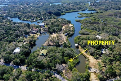 14788 W Hide a Way Dr, Crystal River, FL 34429 - photo 3
