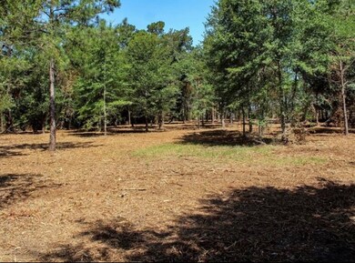 Property was once cleared but could be a little ov