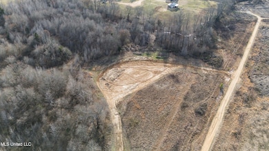 0 Summer Ln unit 4133637, Senatobia, MS 38668 - photo 4