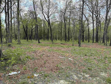 00 Hwy 321, Austin, AR 72007 - photo 4