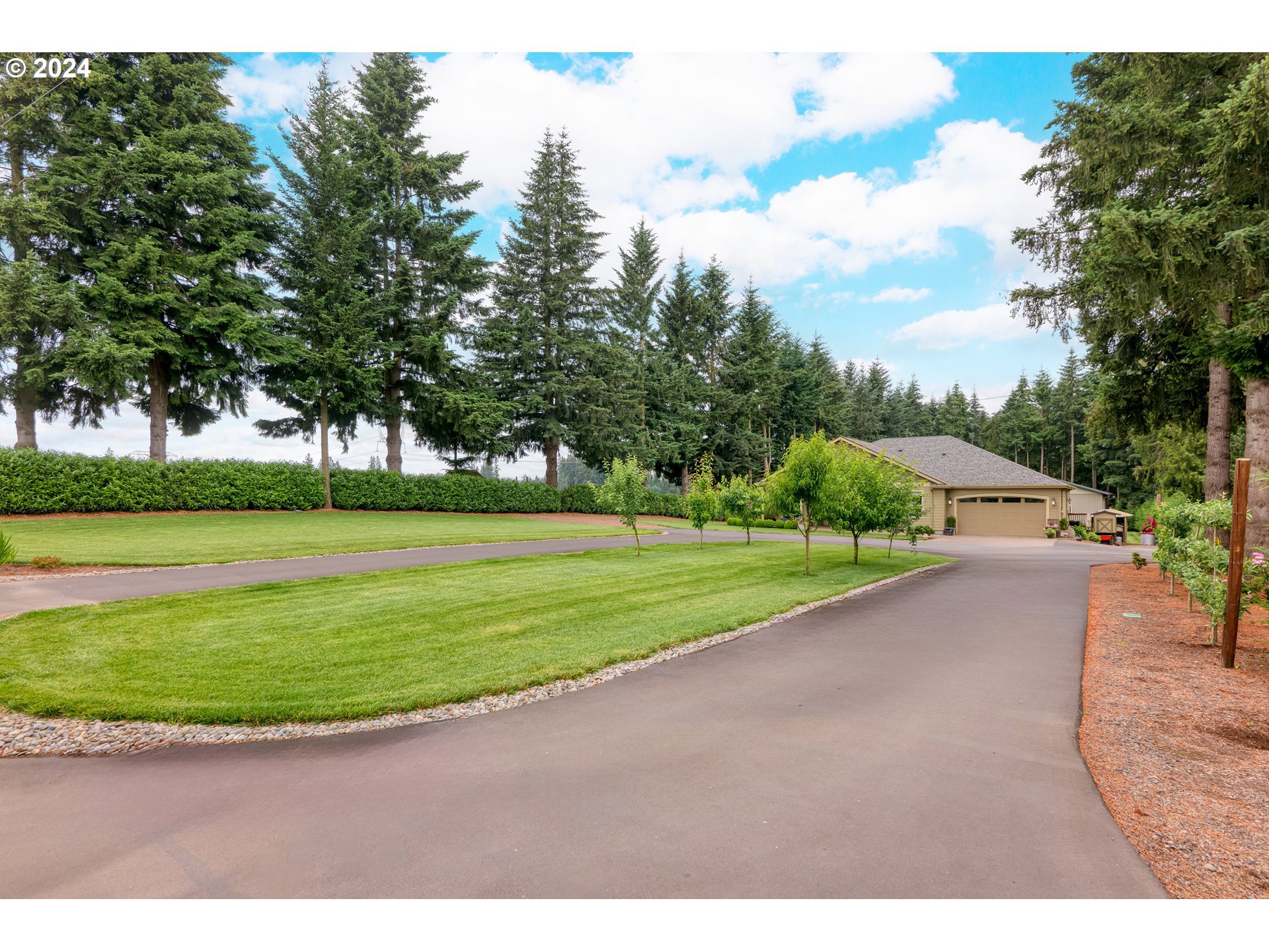 Driveway