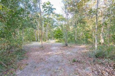 173 Oakwood Trail, Crawfordville, FL 32327 - photo 5