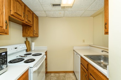 220 Broadway Ave S unit 1112, Rochester, MN 55904 - photo 7
