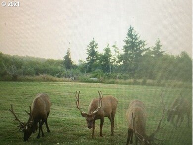 0 Lewis And Clark Rd unit 21687602, Astoria, OR 97103 - photo 2