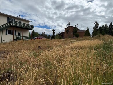 0816 Wapiti Dr, Fraser, CO 80442 - photo 5