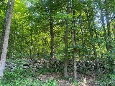 IMG_7833