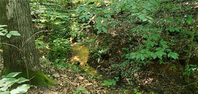 160 Beaver Lake Dr, West Union, SC 29696 - photo 7