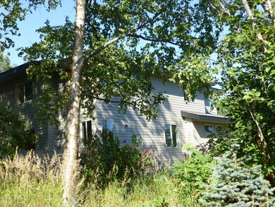 Wooded lot