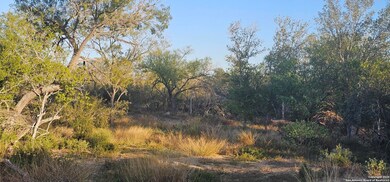 109 Sylas Hayes, Pleasanton, TX 78064 - photo 3