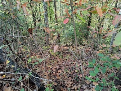 Lot 95 Cedar St, Ellijay, GA 30540 - photo 7