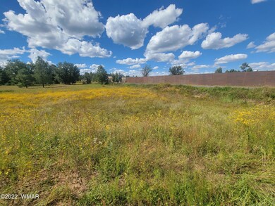 2277 Meadow Ln, Overgaard, AZ 85933 - photo 5