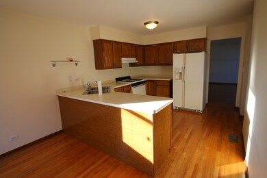 208 N West Ave, Elmhurst, IL 60126 - photo 2