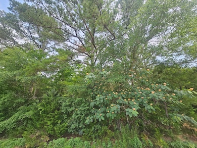 Hildreth Rd-Photo 4