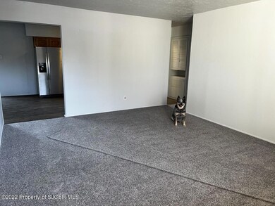 5401 Largo Cir, Farmington, NM 87402 - photo 5