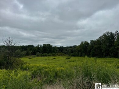 3732 Falconer Kimble Falconer-Kimball Stand Rd, Falconer, NY 14733 - photo 4