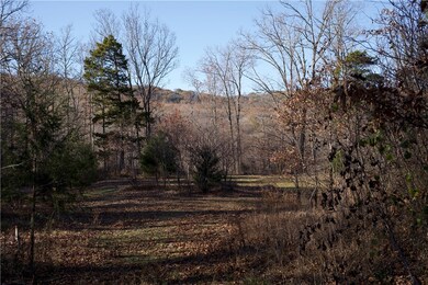 0 Big Spring Rd unit 1235038, Winslow, AR 72959 - photo 6