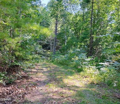 0 Rivendell Ln unit 307703, Coker Creek, TN 37385 - photo 2