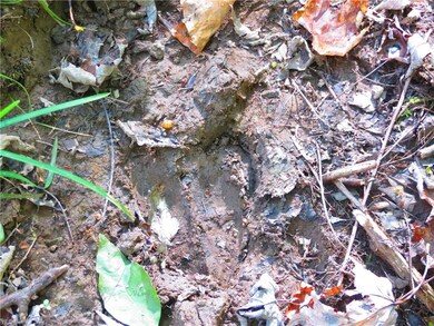 VL Traxler Rd, Dorset, OH 44032 - photo 2