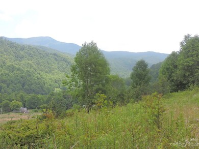 TBD Green Leaf Rd, Burnsville, NC 28714 - photo 5