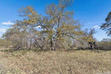 00 Adcock Ln, Somerset, TX 78069 - photo 6