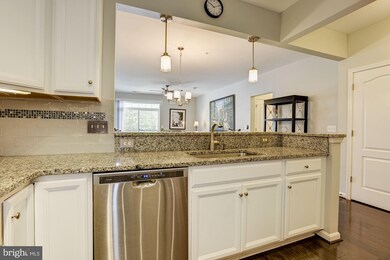 510 Quarry View Ct unit 208, Reisterstown, MD 21136 - photo 5