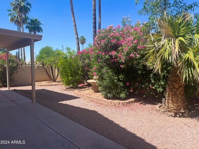 2242 S Terripin, Mesa, AZ 85209 - photo 7