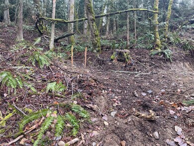 0 Brays Way unit NWM2029894, Bellingham, WA 98226 - photo 6